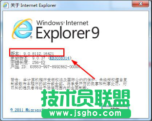 xp系统的ie浏览器版本查看方法