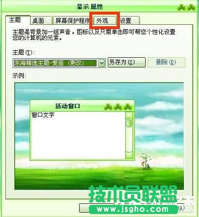 是什么导致WinXP系统电脑图标变大的？(6)