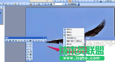 怎样在ppt中为动画添加声音