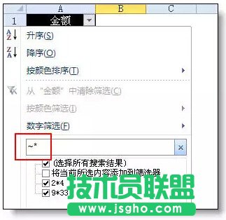 Excel自动筛选