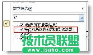 Excel自动筛选