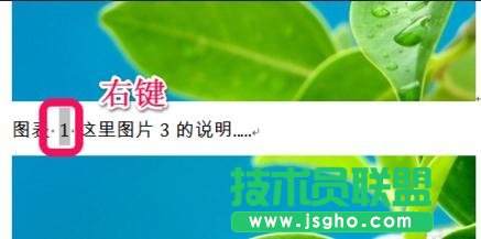 word自动生成图标目录的步骤