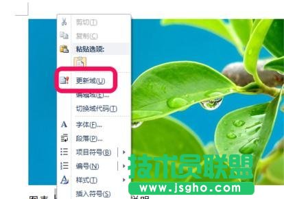 word自动生成图标目录的步骤