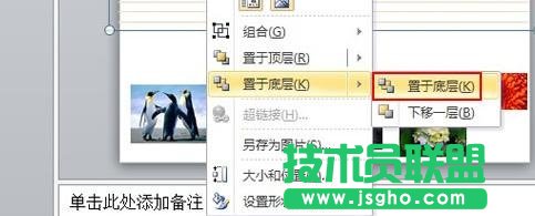 ppt怎么给图片添加底纹样式