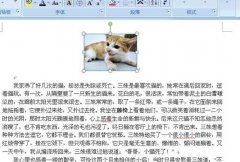 word如何将文字换为图片