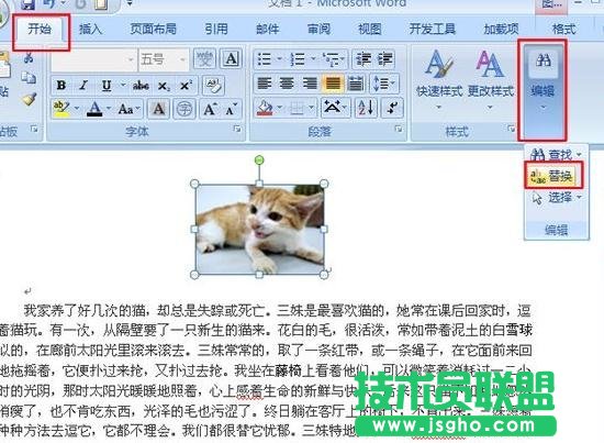 word如何将文字换为图片