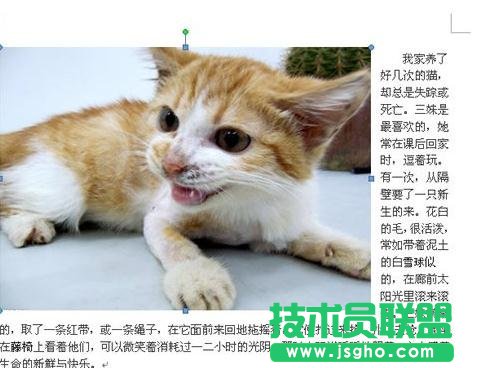 word如何将文字换为图片