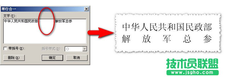 WPS文字轻松双行合一教程