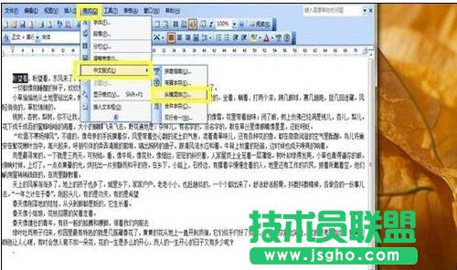 word中如何设置中文版式