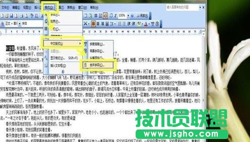 word中如何设置中文版式
