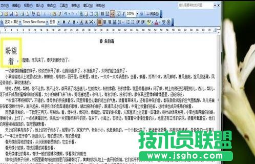 word中如何设置中文版式
