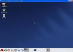Linux系统如何在企业服务器上使用