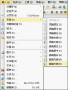 WPS文字怎样便捷插入页码