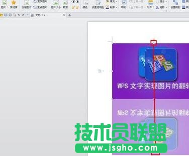 WPS文字怎么翻转图片