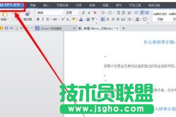 如何去掉wps文字中的小点