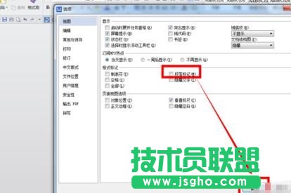 如何去掉wps文字中的小点