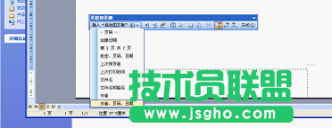 WPS文字给文档烙上印记教程
