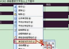 word表格中的文字怎么上下居中
