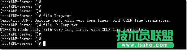 Linux系统中file命令的使用详解