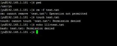 linux中使用root权限都删除不了的文件该怎办? 