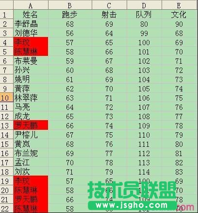 wps如何用条件格式查找数据