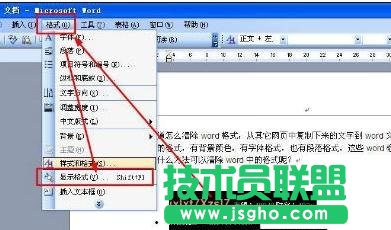 word怎么取消带格式的