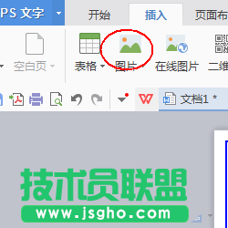 wps怎么设计一款简约的简历?