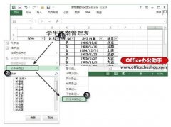 Excel表格如何使用通配符筛选文本