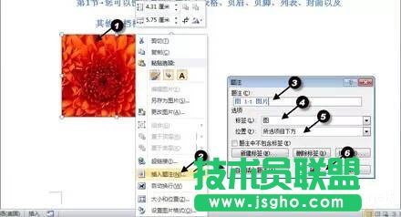 word如何提取图表目录