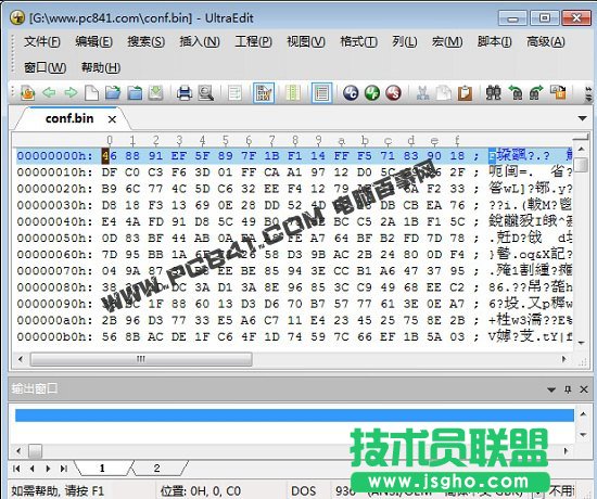 bin文件记事本打开乱码