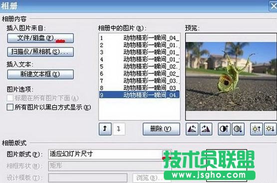 PowerPoint如何制作电子相册