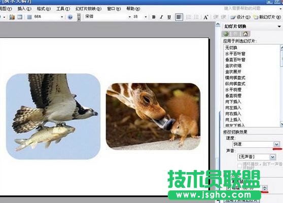 PowerPoint如何制作电子相册