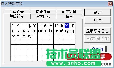 插入特殊符号