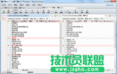 Beyond Compare精确查找文本内容方法  三联