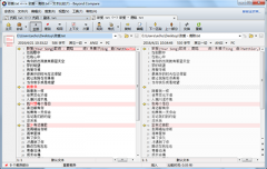Beyond Compare精确查找文本内容方法