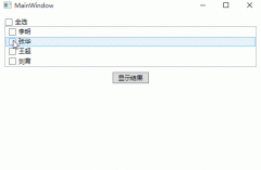 WPF如何实现带全选复选框的列表控件