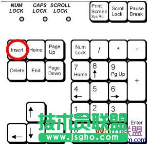 “insert”键所在位置