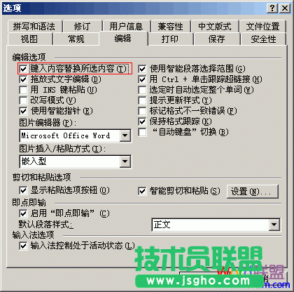 Word选中文字后输入时不能覆盖