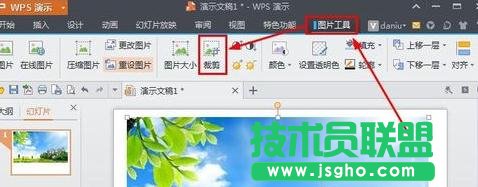 wps演示如何对图片进行裁剪