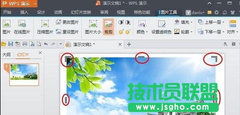 wps演示如何对图片进行裁剪