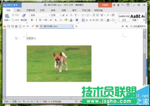WPS演示文件怎么转换成ppt格式的doc文件?
