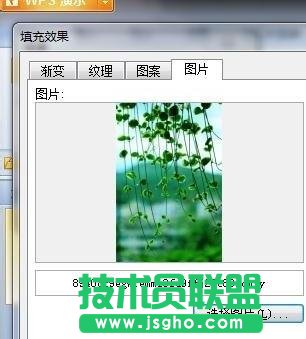 wps演示如何为ppt插入图片
