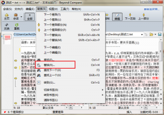 Beyond Compare怎么文本替换？