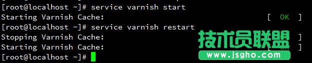 Varnish不能启动问题的解决办法