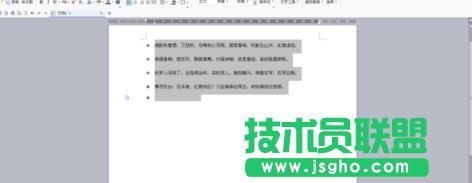 wps文字中怎样设置个性项目符号