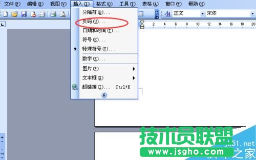 word文档怎么标注页码呢?    三联