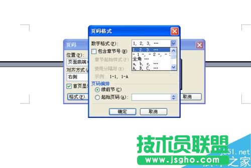 word文档怎么标注页码呢?