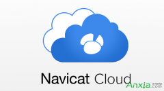 Navicat Cloud成员角色怎么分配
