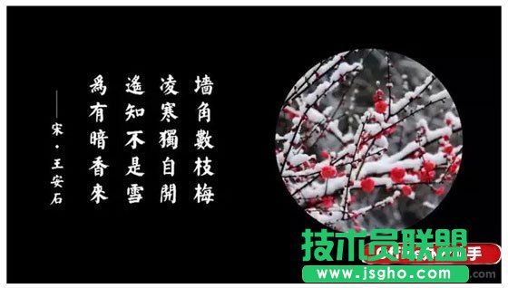使用PPT的裁剪功能按比例裁出完美图片的方法