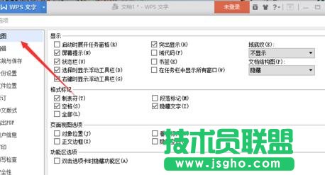 wps如何关闭屏幕提示功能